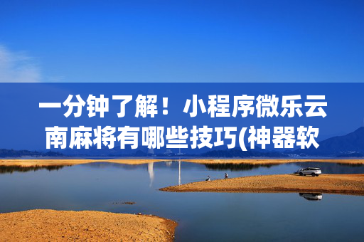 一分钟了解！小程序微乐云南麻将有哪些技巧(神器软件)