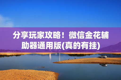 分享玩家攻略！微信金花辅助器通用版(真的有挂)