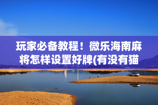 玩家必备教程！微乐海南麻将怎样设置好牌(有没有猫腻)
