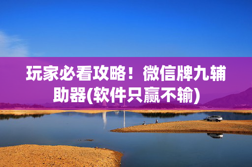 玩家必看攻略！微信牌九辅助器(软件只赢不输)
