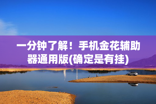 一分钟了解！手机金花辅助器通用版(确定是有挂)