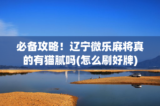 必备攻略！辽宁微乐麻将真的有猫腻吗(怎么刷好牌)