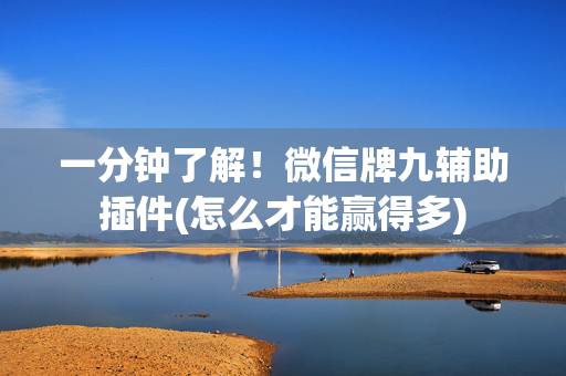 一分钟了解！微信牌九辅助插件(怎么才能赢得多)