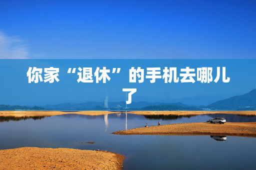 你家“退休”的手机去哪儿了