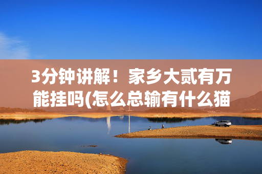 3分钟讲解！家乡大贰有万能挂吗(怎么总输有什么猫腻)