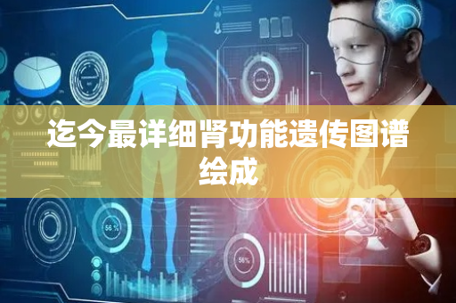 迄今最详细肾功能遗传图谱绘成