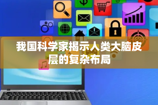 我国科学家揭示人类大脑皮层的复杂布局