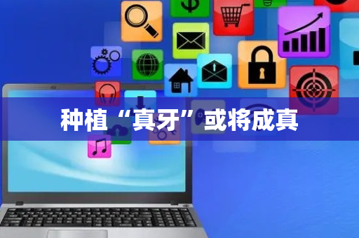 种植“真牙”或将成真
