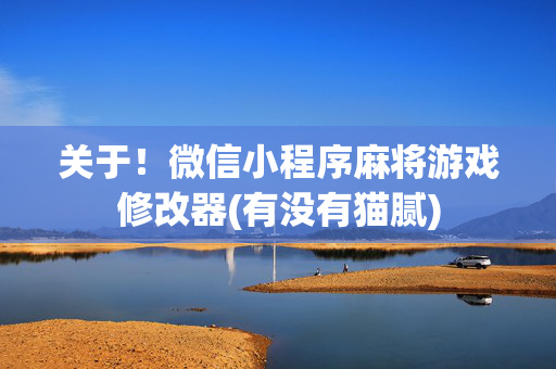 关于！微信小程序麻将游戏修改器(有没有猫腻)