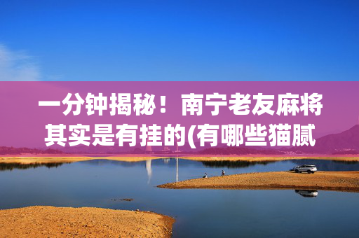 一分钟揭秘！南宁老友麻将其实是有挂的(有哪些猫腻)