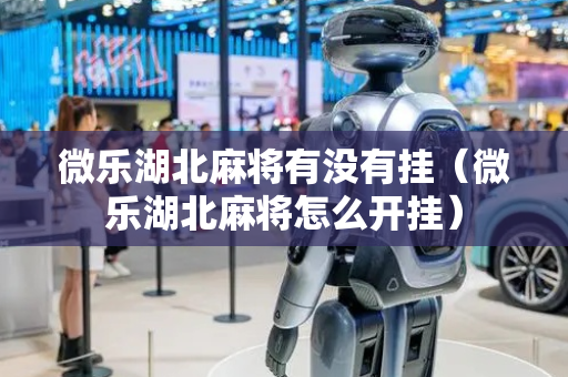 微乐湖北麻将有没有挂（微乐湖北麻将怎么开挂）