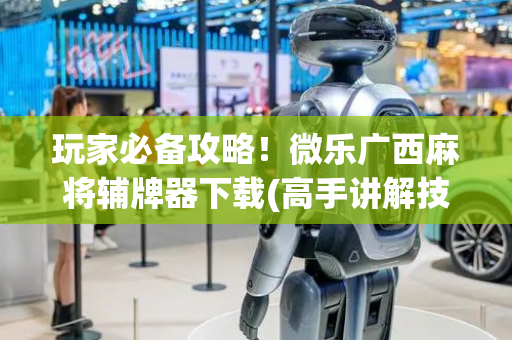 玩家必备攻略！微乐广西麻将辅牌器下载(高手讲解技术)