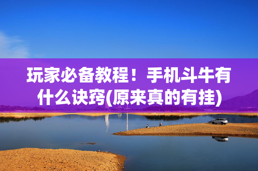 玩家必备教程！手机斗牛有什么诀窍(原来真的有挂)