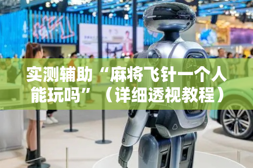 实测辅助“麻将飞针一个人能玩吗”（详细透视教程）-哔哩哔哩