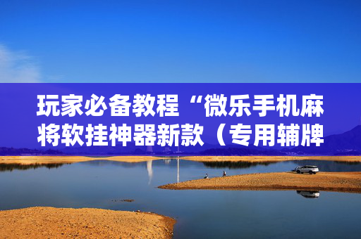玩家必备教程“微乐手机麻将软挂神器新款（专用辅牌神器免安装）