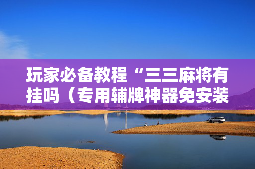 玩家必备教程“三三麻将有挂吗（专用辅牌神器免安装）