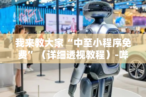 我来教大家“中至小程序免费”（详细透视教程）-哔哩哔哩