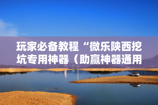 玩家必备教程“微乐陕西挖坑专用神器（助赢神器通用版）