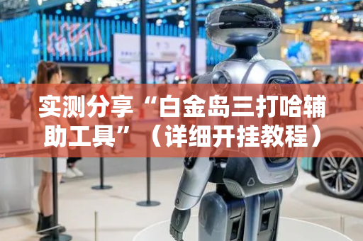 实测分享“白金岛三打哈辅助工具”（详细开挂教程）-哔哩哔哩