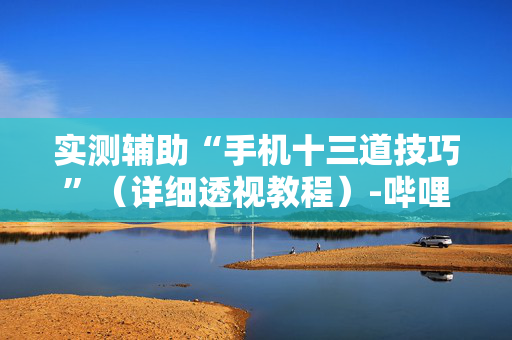 实测辅助“手机十三道技巧”（详细透视教程）-哔哩哔哩