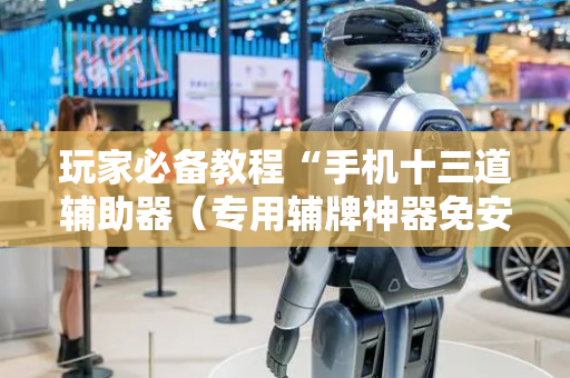 玩家必备教程“手机十三道辅助器（专用辅牌神器免安装）