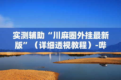 实测辅助“川麻圈外挂最新版”（详细透视教程）-哔哩哔哩