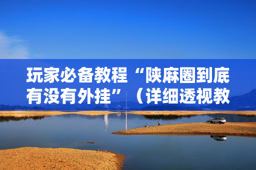 玩家必备教程“陕麻圈到底有没有外挂”（详细透视教程）-哔哩哔哩