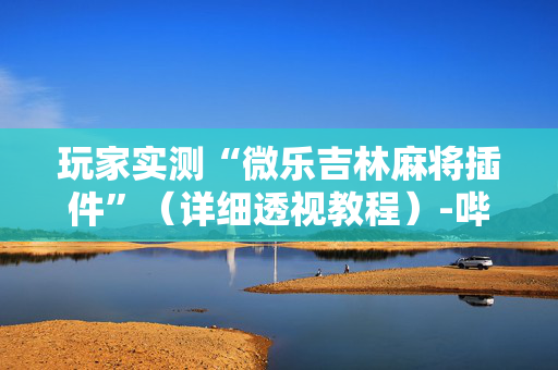 玩家实测“微乐吉林麻将插件”（详细透视教程）-哔哩哔哩