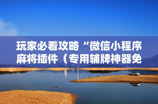 玩家必看攻略“微信小程序麻将插件（专用辅牌神器免安装）