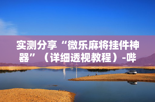 实测分享“微乐麻将挂件神器”（详细透视教程）-哔哩哔哩