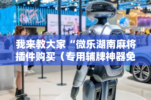 我来教大家“微乐湖南麻将插件购买（专用辅牌神器免安装）