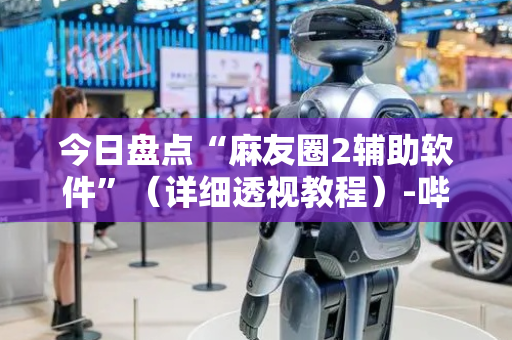 今日盘点“麻友圈2辅助软件”（详细透视教程）-哔哩哔哩