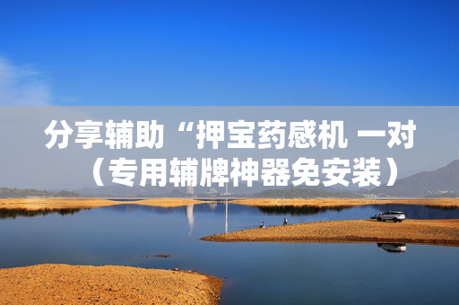 分享辅助“押宝药感机 一对（专用辅牌神器免安装）