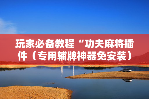 玩家必备教程“功夫麻将插件（专用辅牌神器免安装）