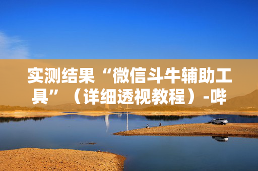 实测结果“微信斗牛辅助工具”（详细透视教程）-哔哩哔哩