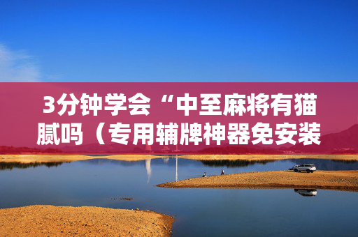 3分钟学会“中至麻将有猫腻吗（专用辅牌神器免安装）