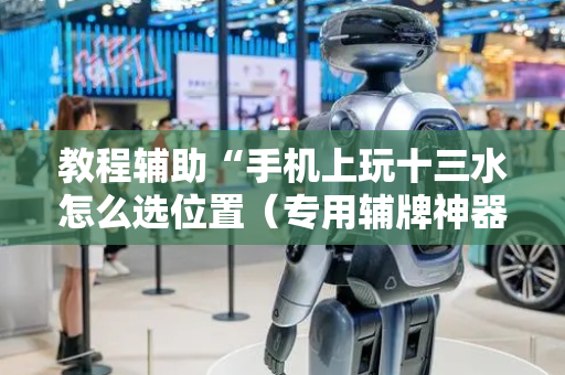 教程辅助“手机上玩十三水怎么选位置（专用辅牌神器免安装）