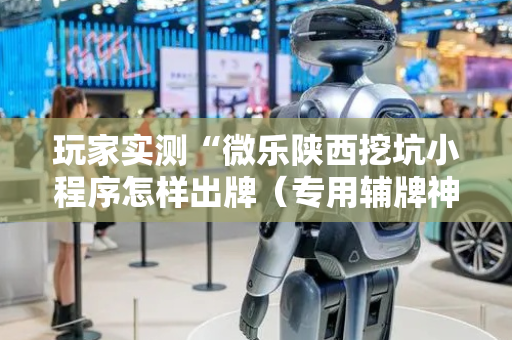玩家实测“微乐陕西挖坑小程序怎样出牌（专用辅牌神器免安装）