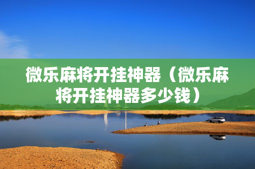 微乐麻将开挂神器（微乐麻将开挂神器多少钱）