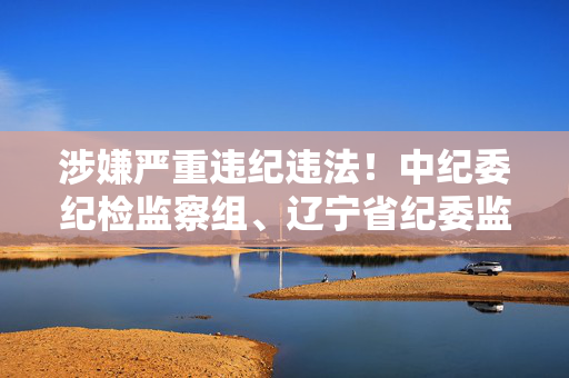 涉嫌严重违纪违法！中纪委纪检监察组、辽宁省纪委监委通报！