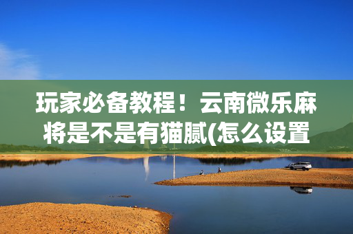 玩家必备教程！云南微乐麻将是不是有猫腻(怎么设置会赢)