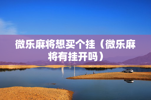 微乐麻将想买个挂（微乐麻将有挂开吗）