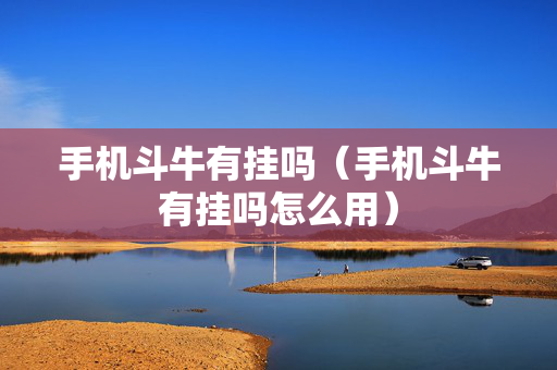 手机斗牛有挂吗（手机斗牛有挂吗怎么用）