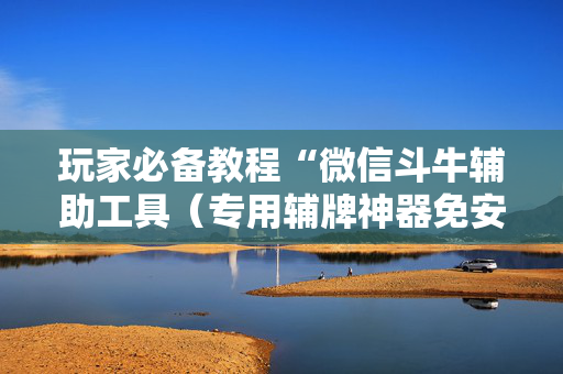 玩家必备教程“微信斗牛辅助工具（专用辅牌神器免安装）