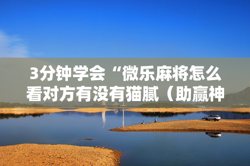 3分钟学会“微乐麻将怎么看对方有没有猫腻（助赢神器通用版）