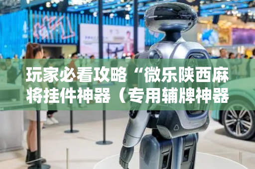 玩家必看攻略“微乐陕西麻将挂件神器（专用辅牌神器免安装）