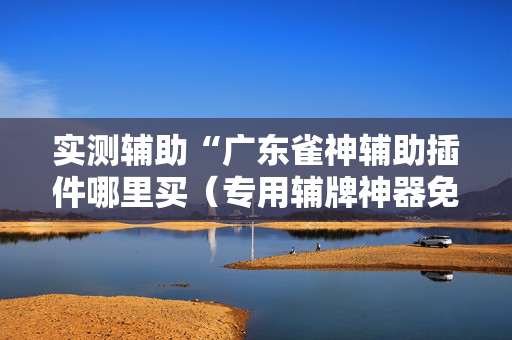 实测辅助“广东雀神辅助插件哪里买（专用辅牌神器免安装）