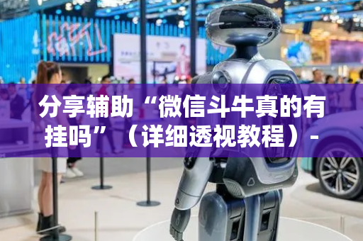 分享辅助“微信斗牛真的有挂吗”（详细透视教程）-哔哩哔哩