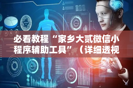 必看教程“家乡大贰微信小程序辅助工具”（详细透视教程）-哔哩哔哩