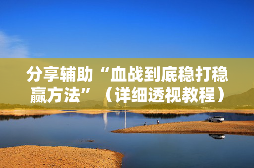 分享辅助“血战到底稳打稳赢方法”（详细透视教程）-哔哩哔哩